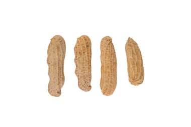 Haşlanmış fıstık, soyulmuş ve izole edilmiş tohumlar..