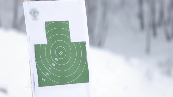 Tembak menembak ke target menembak konsep — Stok Video
