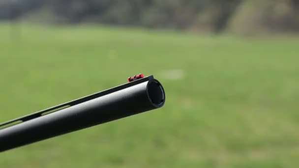 A close-up of the rifle barrel. Mans hand hold a rifle and show sighting tools — Stock Video