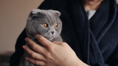 Hugs genç kadının içinde Britanya ile ilgili stenografi kedi