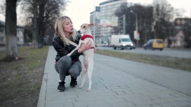 Ağır çekim. Neşeli evde beslenen hayvan sahip yanlışı fox terrier köpek sokakta