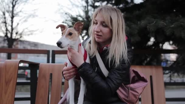 Alegre dueño de mascotas con su perro están sentados en el banco y posando. mujer está acariciando un perro — Vídeos de Stock