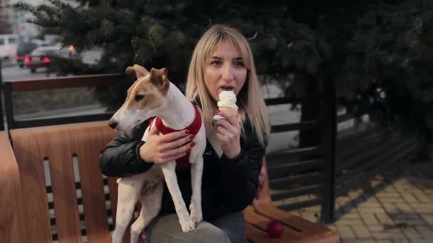 Proprietarul vesel al animalelor de companie mănâncă înghețată și stă cu câinele ei pe bancă și pozează. Femeia mângâie un câine — Videoclip de stoc