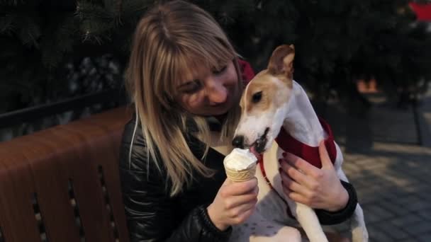 Slow-Motion. Cheerful girl feeds her cute fox terrier dog with icecream