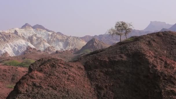Дивовижний краєвид гір кольорові пустелі Ормузька острів з одного дерева на пагорбі. Іран — стокове відео