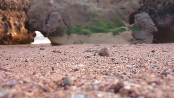 Um caranguejo vermelho, movendo-se em uma praia arenosa com rochas no por do sol da ilha de Hormuz, Irã — Vídeo de Stock