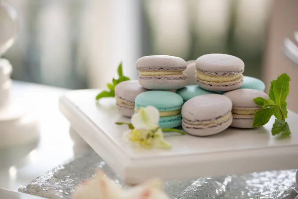 Çok Renkli Macaroons Taze Nane Closeup Bir Tepside Düğün — Stok fotoğraf