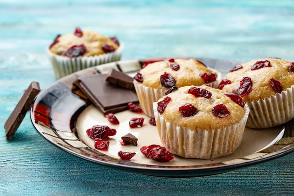 Vanilla muffins with dried cherries on the white plate and blue wooden rustic table. Chocolate