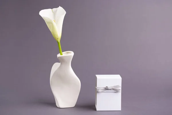 Gri arka planda hediye kutusu ile vazo beyaz kala çiçek — Stok fotoğraf