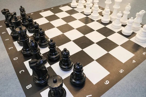 Black and white photo with a picture of a chess Board and chess pieces, chess pieces on a chess Board — Stock Photo, Image