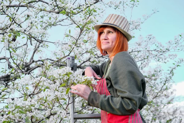 Work in the garden. Spring care for blooming trees — Stock Photo, Image