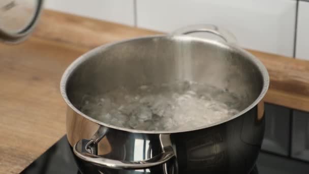 Hand Woman Adding Salt Boiling Water Pot Induction Hob — Stock Video