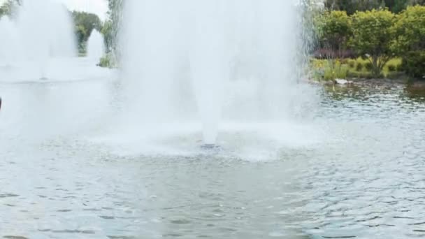 Wasser Strömt Aus Brunnen Viele Fotains See — Stockvideo