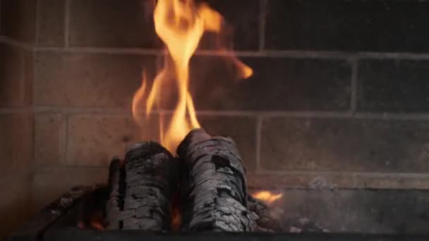 Fuego de leña ardiente pequeña hoguera quema en una parrilla de ladrillo — Vídeos de Stock