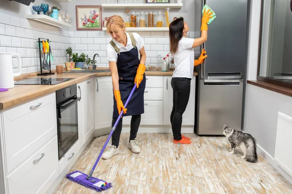 Two Women Cleaning Kitchen One Woman Washes Floor Other Windows — Stock Photo, Image