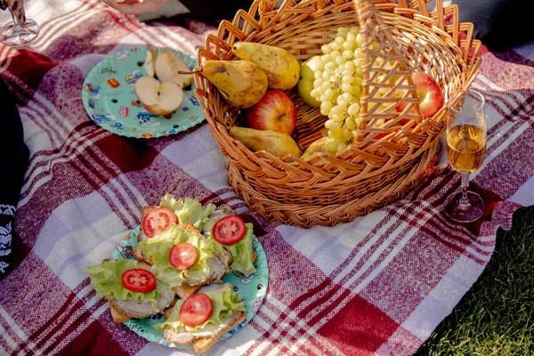 Yeşil Çimenlikte Piknik Sepeti Sandviç Meyve Bir Bardak Beyaz Şarapla — Stok fotoğraf