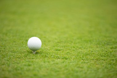 Yeşil bir çayırda golf topu tasviri