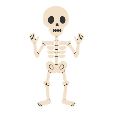 Elle çizilmiş sevimli iskelet. Cadılar Bayramı tasarımı. İzole edilmiş beyaz arka plan. Düz biçimli vektör illüstrasyonu.