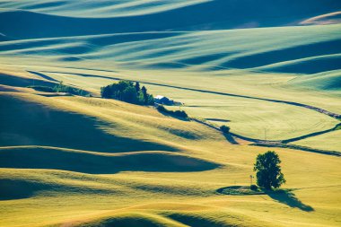 Washington 'ın ikonik Steptoe Butte' undan alınmıştır.