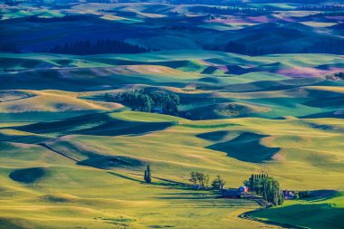 Washington 'ın ikonik Steptoe Butte' undan alınmıştır.