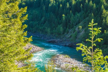 Bu izler Düz Kafalı Nehir 'in Orta Çatalı' nı takip ediyor. US Hwy 2 boyunca parkın hemen dışında..