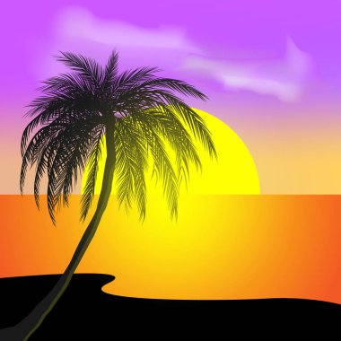 Renkli manzara arka plan, vektör ile gün batımı ve tropikal palmiye ağaçları