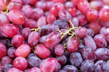 Taze pazardaki organik çiftlikten tohumsuz taze kırmızı üzümlerin yakın çekimi. Meyve olarak yenir ve şarap yapımında kullanılır..