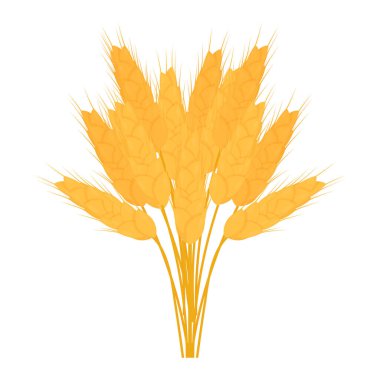 Buğdaydan yapılmış altın olgunlaşmış kulak hasadı