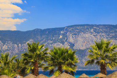 Avuç içi ve hasır şemsiyeler güzel deniz kıyı ve yüksek dağlar, Marmaris, Turkey, Ege Denizi fon karşı üst kısımları