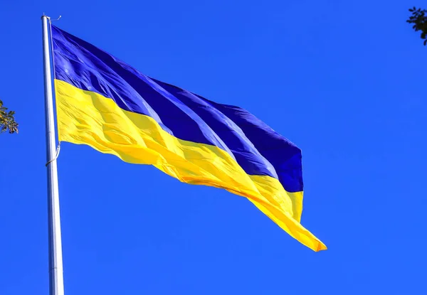 Найбільший Жовто Блакитний Державного Прапора України Флагштока Метрів Місті Української — стокове фото