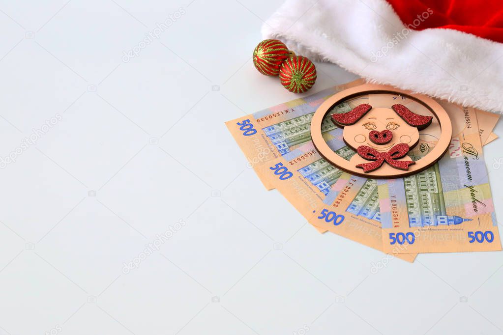 Ukrainian hryvna, banknotes 500 hryvnia, with toy pig, the symbol of 2019,  red Santa Claus hat on white background, isolate. Christmas and New Year concept. Ukraine. gryvnia, gryvna, grivna, grivnia, hrivnia,hrivna