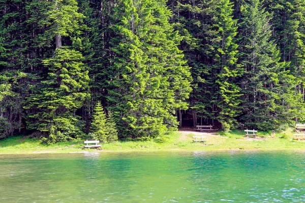 Montenegro Landscape Beautiful Mountain Lake Surrounded Pine Forest National Parks — Stock Photo, Image