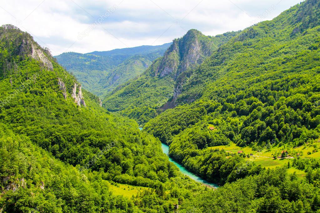 Montenegro view.  A picturesque canyon among the high mountains covered with green forest in Montenegro.