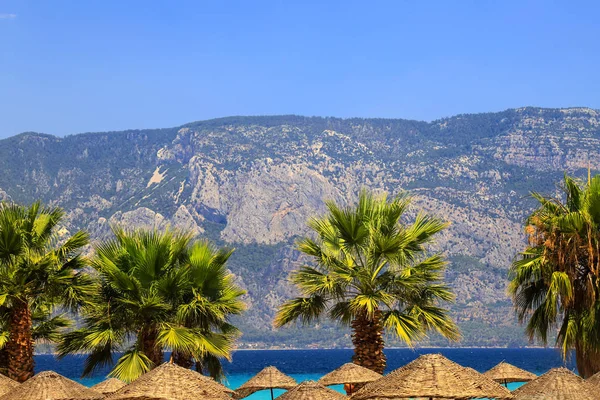 Avuç içi ve hasır şemsiyeler Kleopatra güzel plaj yakınındaki Bodrum ve Marmaris, geziler, gezi, tatil ve eğlence kavramı üzerinde üst kısımları    