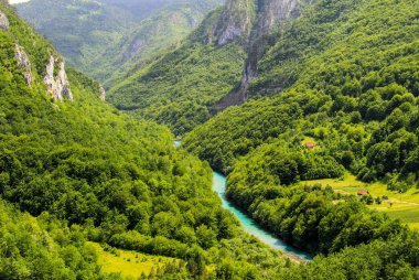 Karadağ dağlar. Karadağ'ın yeşil orman kaplı yüksek dağlarda pitoresk bir kanyonda mavi nehir akar.
