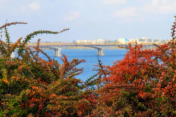 赤と黄色の紅葉は、秋の川と橋のぼやけた風景を背景に. — ストック写真