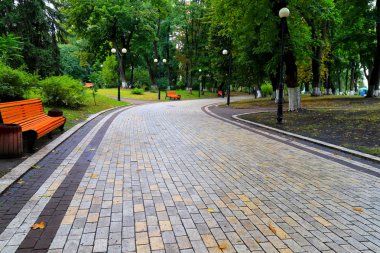 Gri taş kaldırım, sonbahar parkında turuncu banklarla. Ukrayna Parlamentosu yakınlarındaki Mariinsky Parkı, Verkhovna Rada, şehir Kyiv
