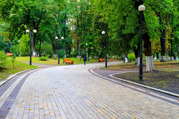 Серый каменный проход в осеннем парке с апельсиновыми скамейками после дождя. Мариинский парк при Верховной Раде Украины, г. Киев — стоковое фото