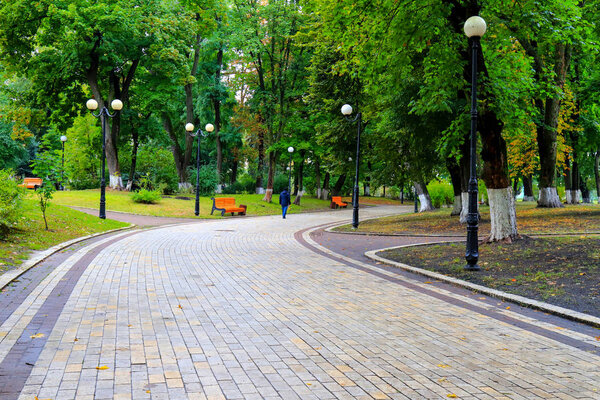 Gray stone walkway in the autumn park with orange benches after the rain. Mariinsky Park near the Parliament of Ukraine, Verkhovna Rada, city Kiev