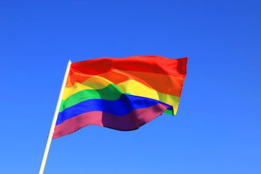 Lezbiyen, eşcinsel, biseksüel ve transseksüel bayrağını da içeriyor. LGBT organizasyonunun gökkuşağı bayrağı mavi gökyüzünde dalgalanıyor
