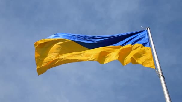 Large National Flag Ukraine Flies Blue Sky Big Yellow Blue — Stock Video