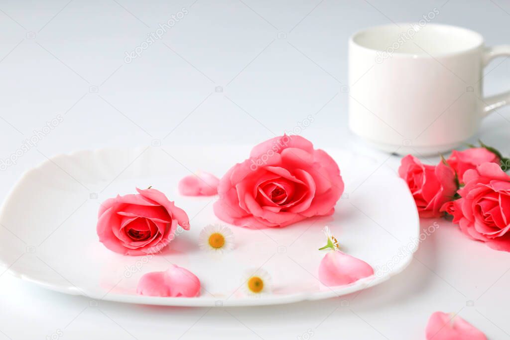 Beautiful red rose flowers on a white plate background with tender petals, bouquet, isolated. Blooming romantic pink roses - a symbol of love and celebration