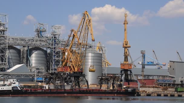 Odessa Ukraina Juli 2020 Pelabuhan Kuning Crane Membongkar Tongkang Odessa — Stok Video