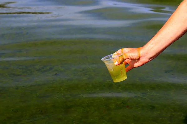 Globale Umwelt Und Gewässerverschmutzung Ein Mann Sammelt Schmutziges Grünes Wasser — Stockfoto