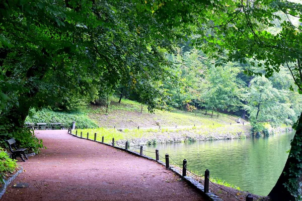 Parkeer Achtergrond Stenen Pad Buurt Van Het Meer Schilderachtige Loofbomen — Stockfoto