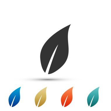 Beyaz arka plan üzerinde izole yaprak simgesi. Renkli simgeler kümesi öğeleri. Düz tasarım. Vektör çizim