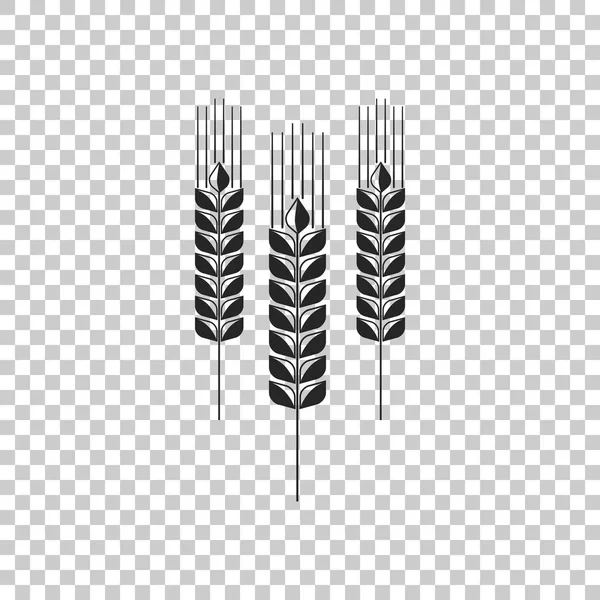 Icono de cereales con arroz, trigo, maíz, avena, centeno, letrero de cebada aislado sobre fondo transparente. Orejas de pan de trigo símbolos. Agricultura símbolo de trigo. Diseño plano. Ilustración vectorial — Vector de stock