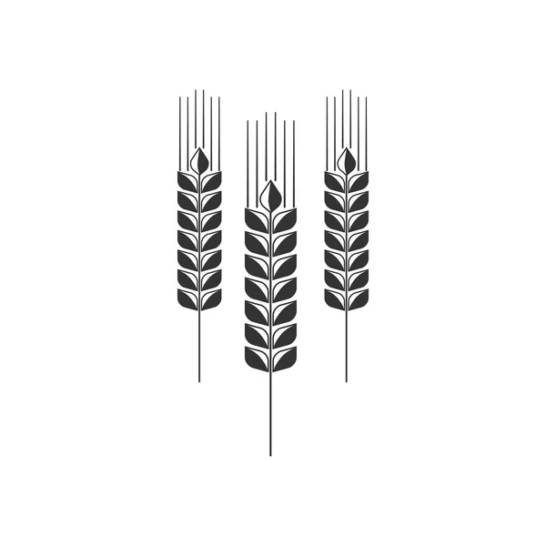 Granen icon set met rijst, tarwe, maïs, haver, rogge, gerst teken geïsoleerd. Oren van tarwe brood symbolen. Landbouw tarwe symbool. Plat ontwerp. Vector illustratie — Stockvector