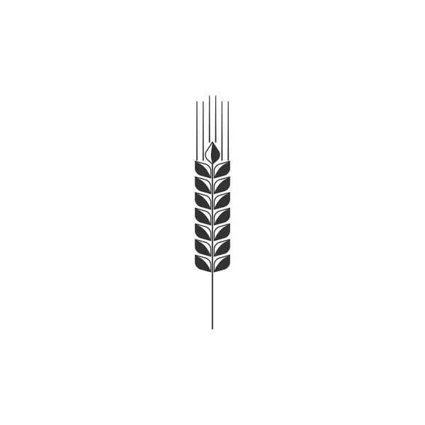 Icono de cereales con arroz, trigo, maíz, avena, centeno, signo de cebada aislado. Orejas de pan de trigo símbolos. Agricultura símbolo de trigo. Diseño plano. Ilustración vectorial — Vector de stock