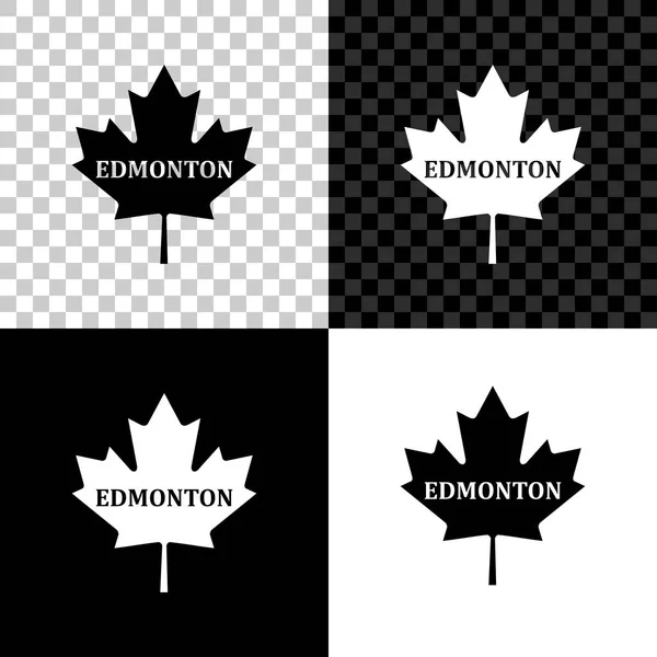 Καναδικός φύλλο σφενδάμου με το όνομα της πόλης Έντμοντον εικονίδιο απομονώνεται σε μαύρο, λευκό και διαφανές φόντο. Απεικόνιση διανυσματικών φορέων — Διανυσματικό Αρχείο